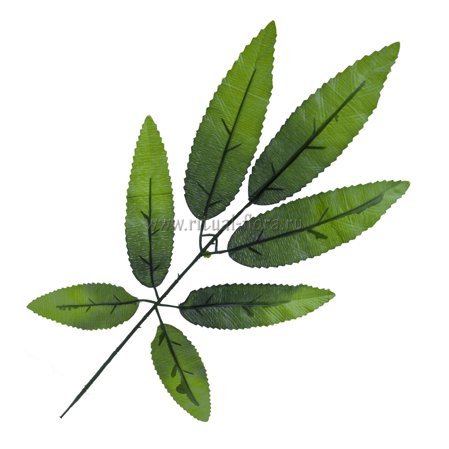 Лист бамбука (200шт)