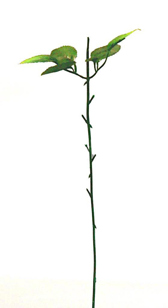 Ножка розы №13 + лист (43см)